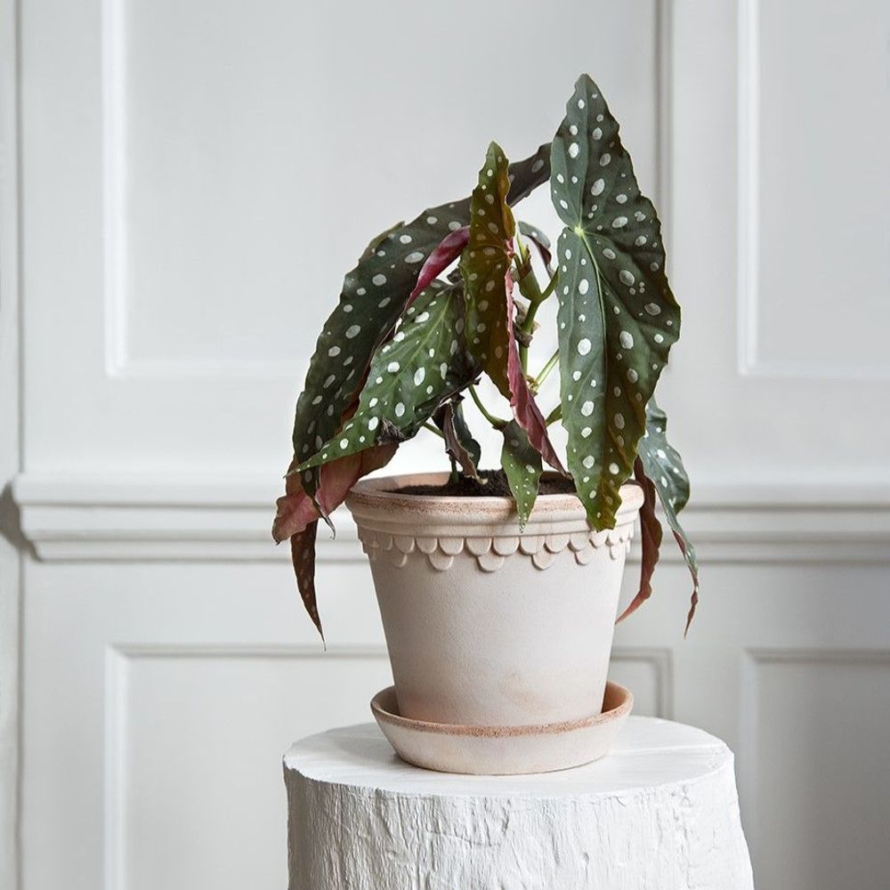 Poterie - Pot de Copenhague - BERGS POTTER