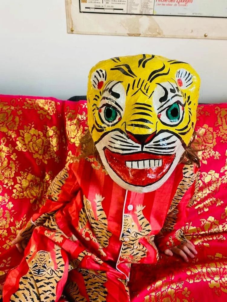 Children's party decorations - Mâché Mukhauta  MASQUE EN PAPIER - CURIOSITY LAB