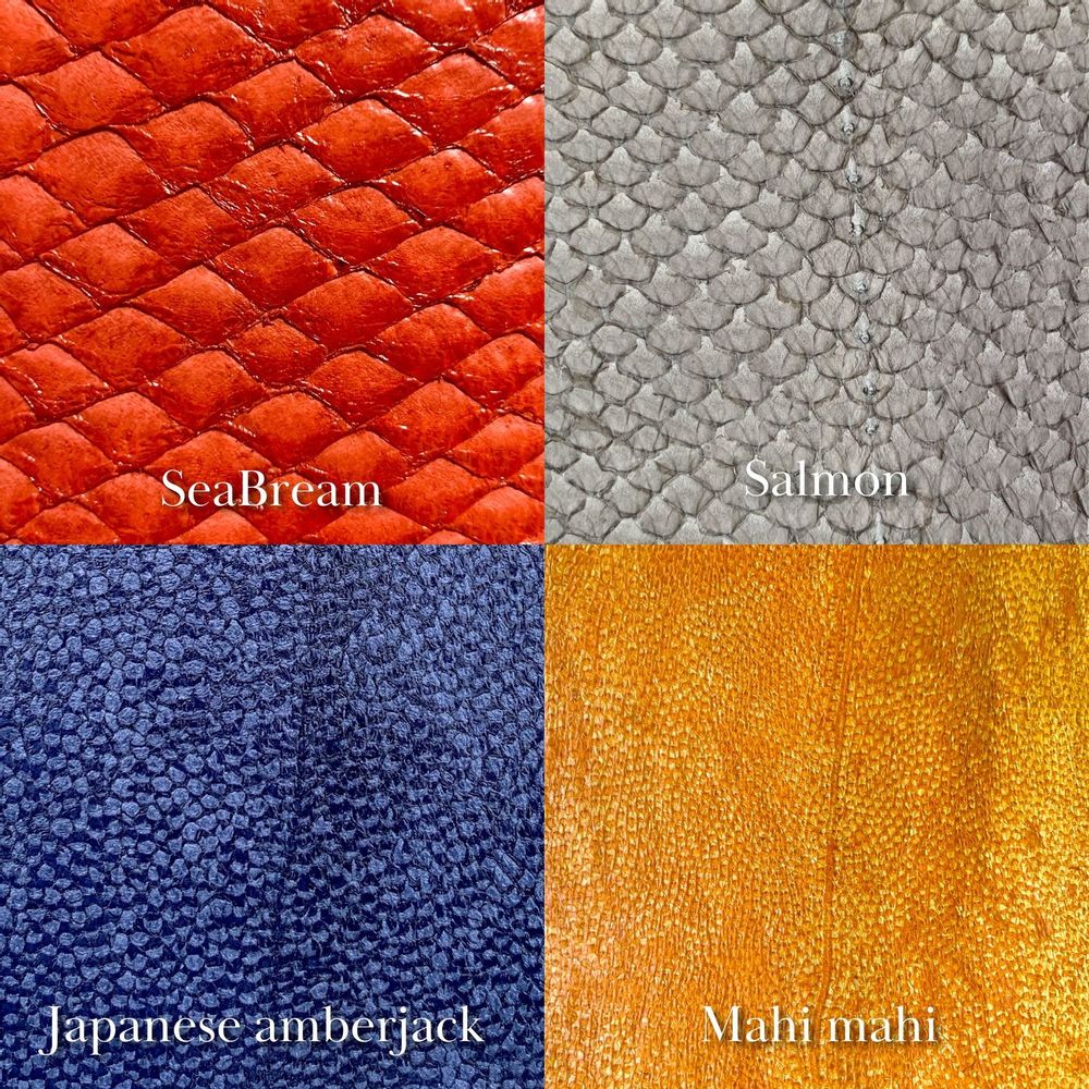 Cadeaux - Ocean Leather - JAPAN KOCHI CRAFT
