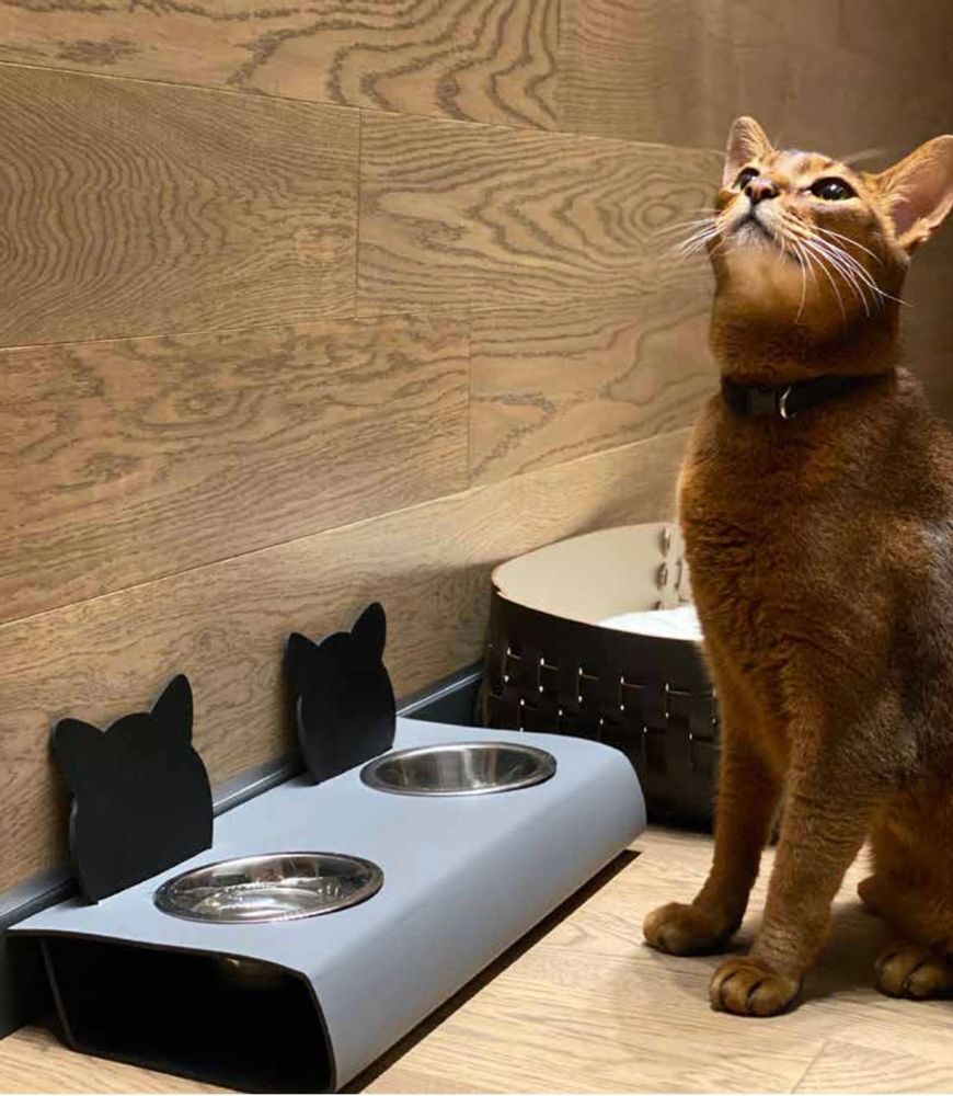 Services - BOWLS HOLDER FOR CAT&DOG - ADJ STYLE