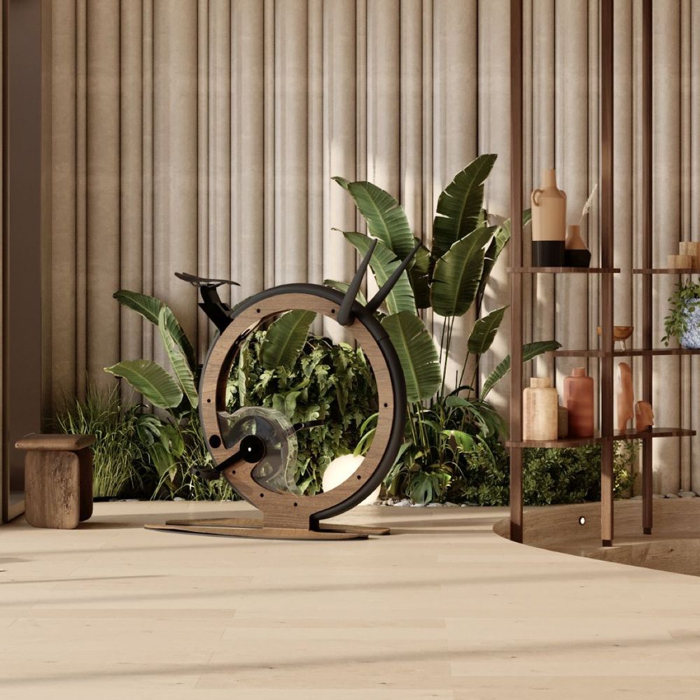 Gym and fitness equipment for hospitalities & contracts - Ciclotte exercise-bike in Wood and Mat carbon fibre - CICLOTTE
