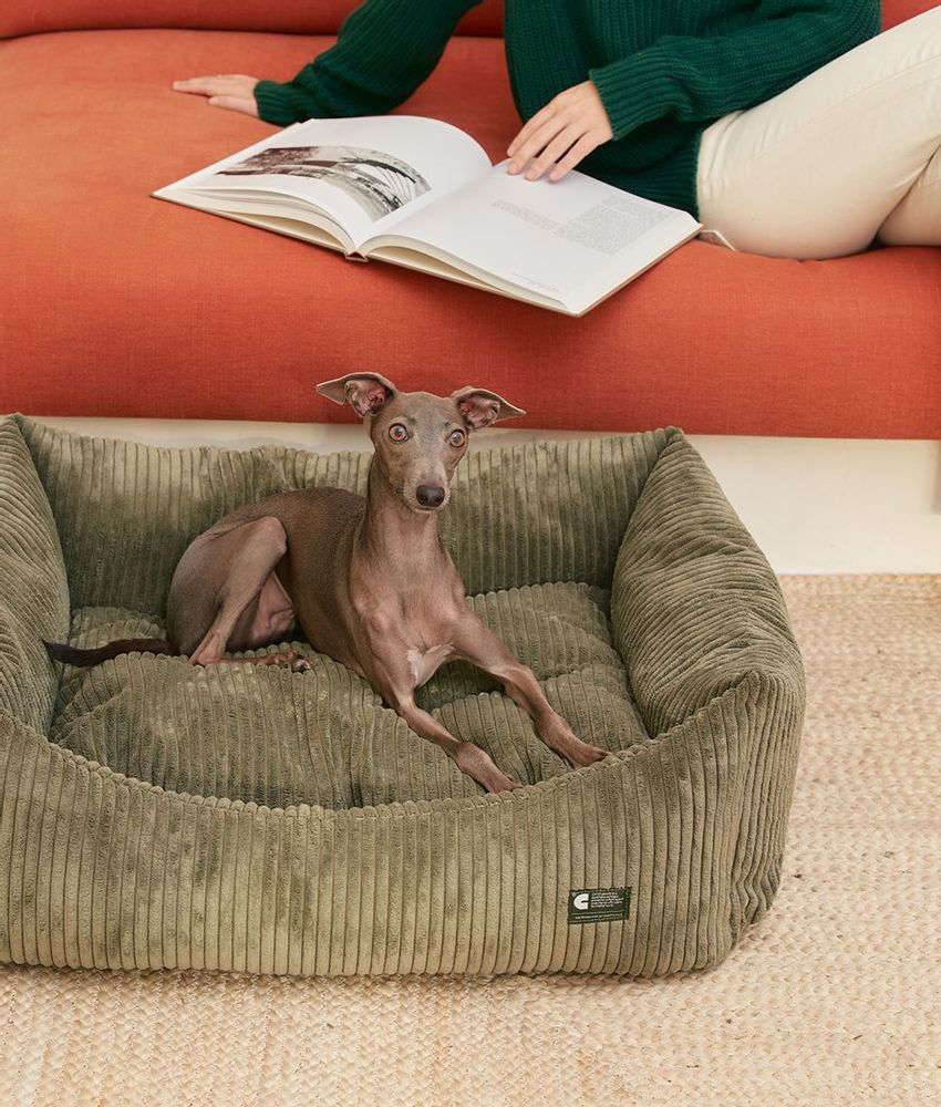 Accessoires animaux - Lit pour chien en velours côtelé vert, Snozy - CAFIDE PETS S.L.