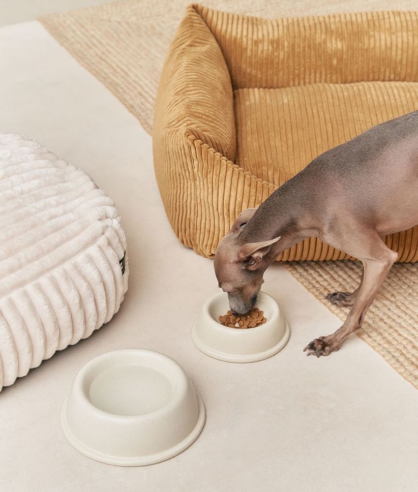 Accessoires animaux - Handmade in Portugal Ceramic Dog Bowl, Bole - CAFIDE PETS S.L.