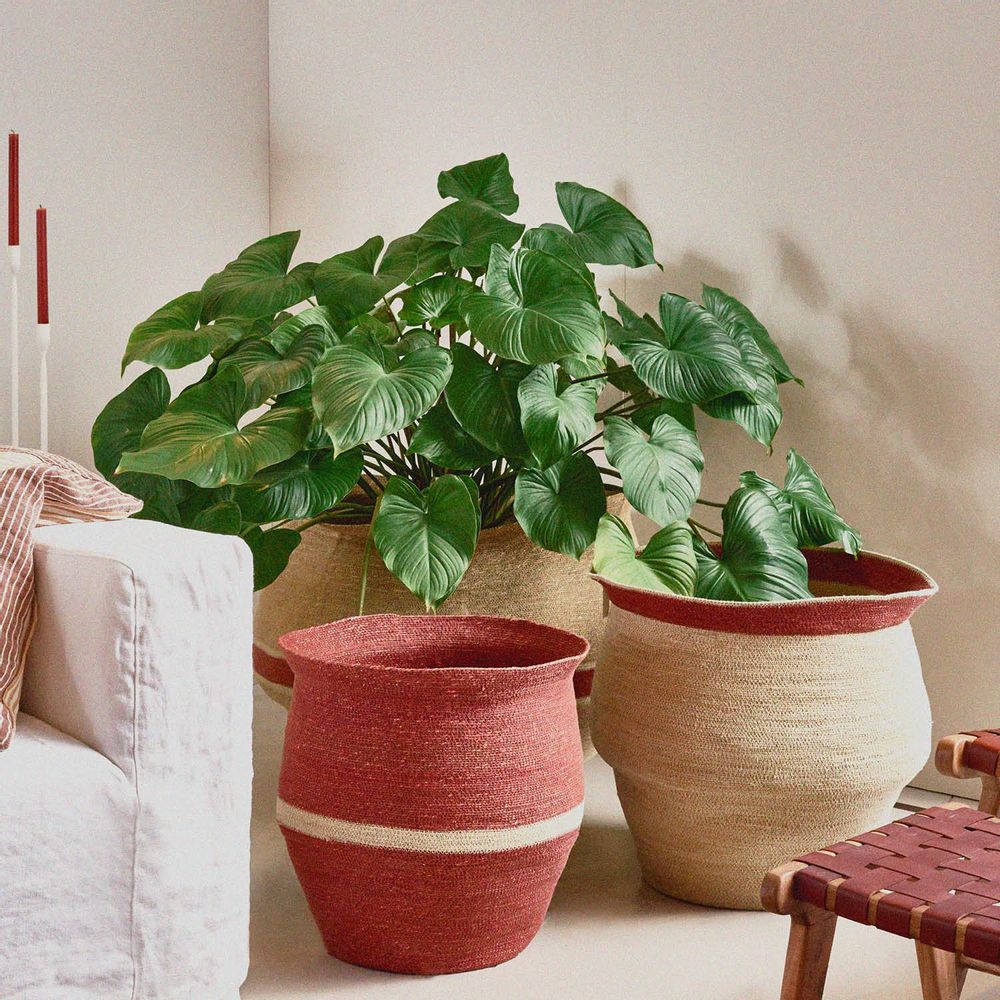 Decorative objects - Port Louis - POMAX