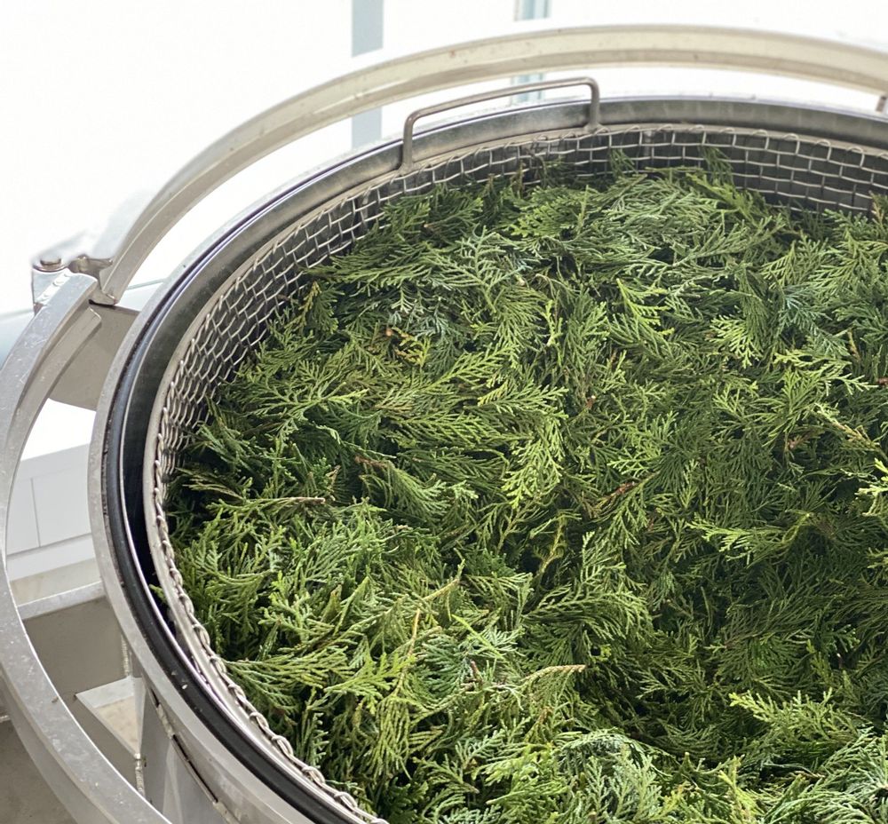 Home fragrances - Mokumen,EssentialOil - JAPAN  KOCHI  CRAFT