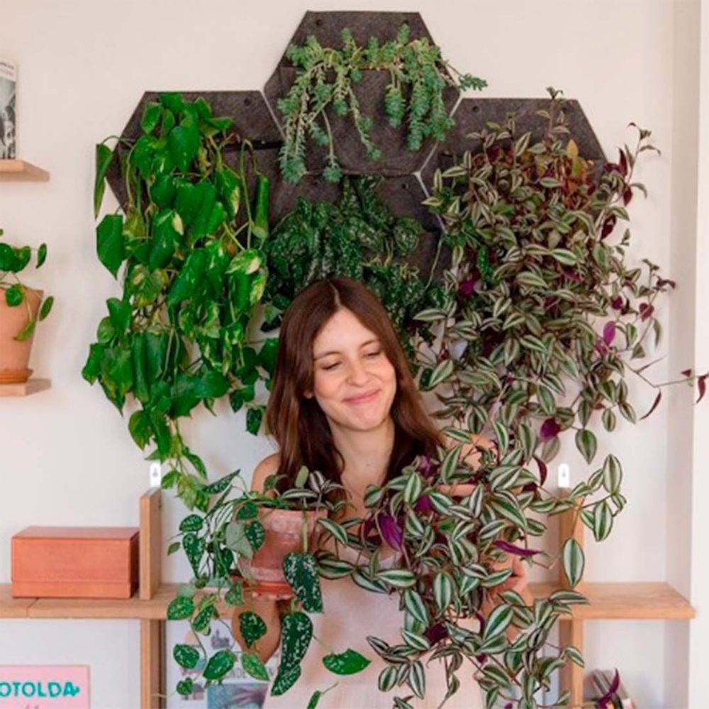 Pots de fleurs - Jardin vertical intérieur - modulaire & personnalisable - CITYSENS