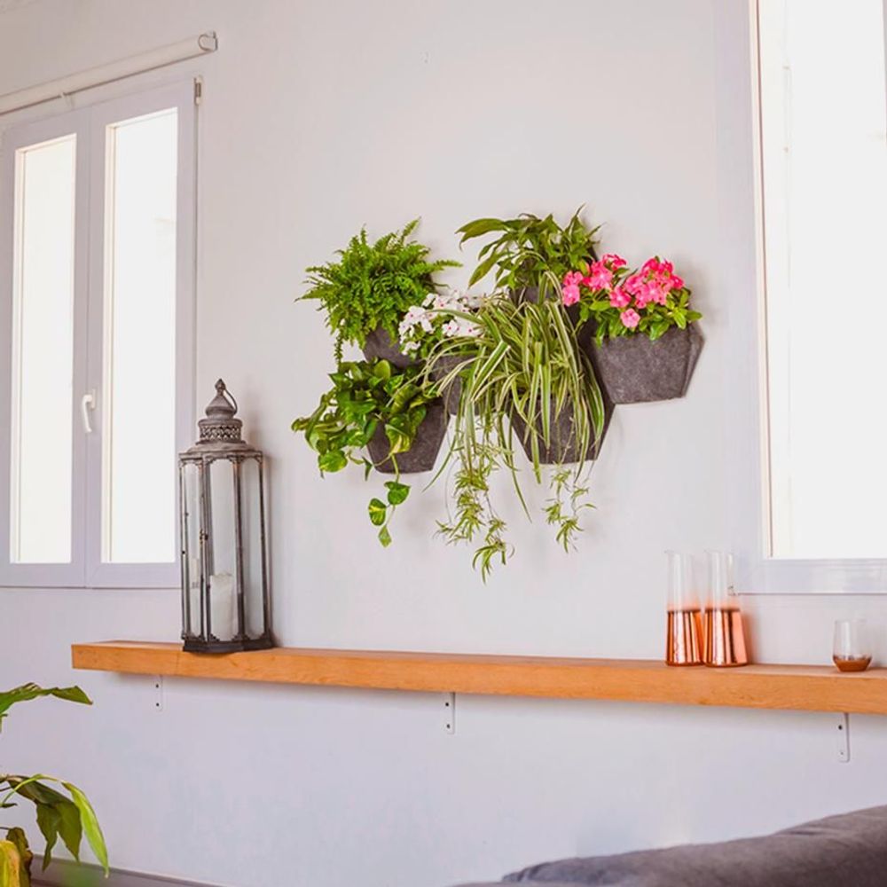 Pots de fleurs - Jardin vertical intérieur - modulaire & personnalisable - CITYSENS