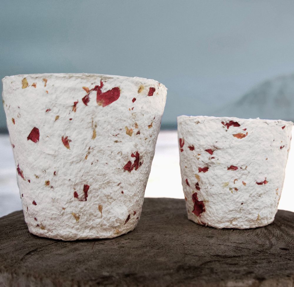 Pottery - ceramic vases and pots - SHISHI
