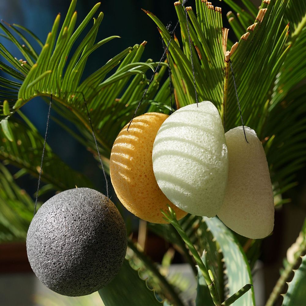 Cosmétiques - EPONGE DE KONJAC BIOLOGIQUE ENRICHIE AU CURCUMA - EN VRAC - KARAWAN AUTHENTIC