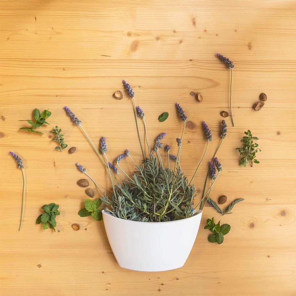 Vases - Wall Planters - CITYSENS