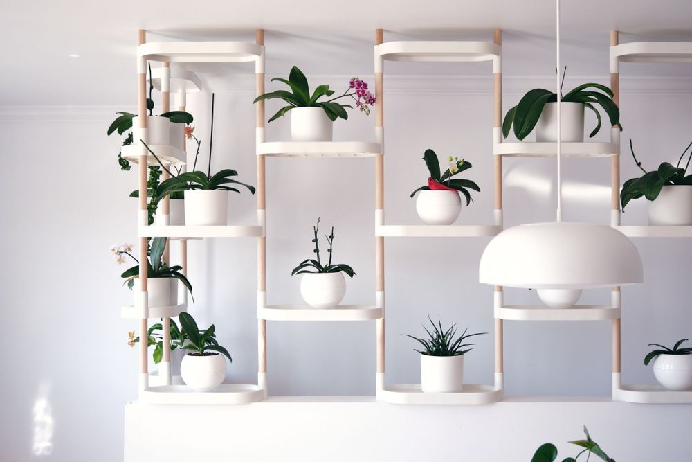 Floral decoration - Modular Plant Shelves - CITYSENS