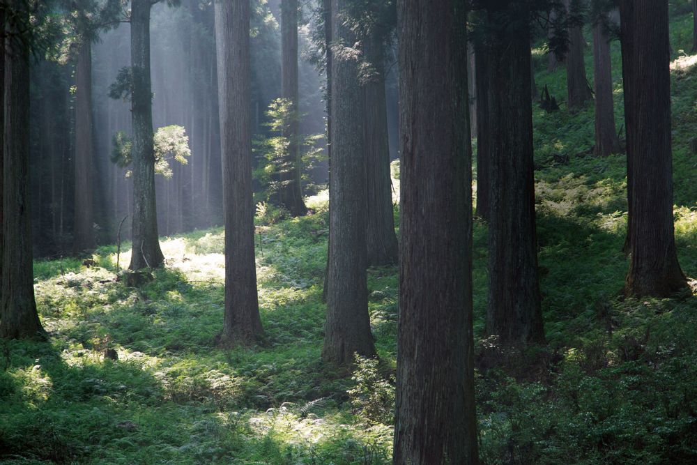 Design objects - KITOTE by Nakai Industry Co., Ltd - WAKAYAMA JAPAN