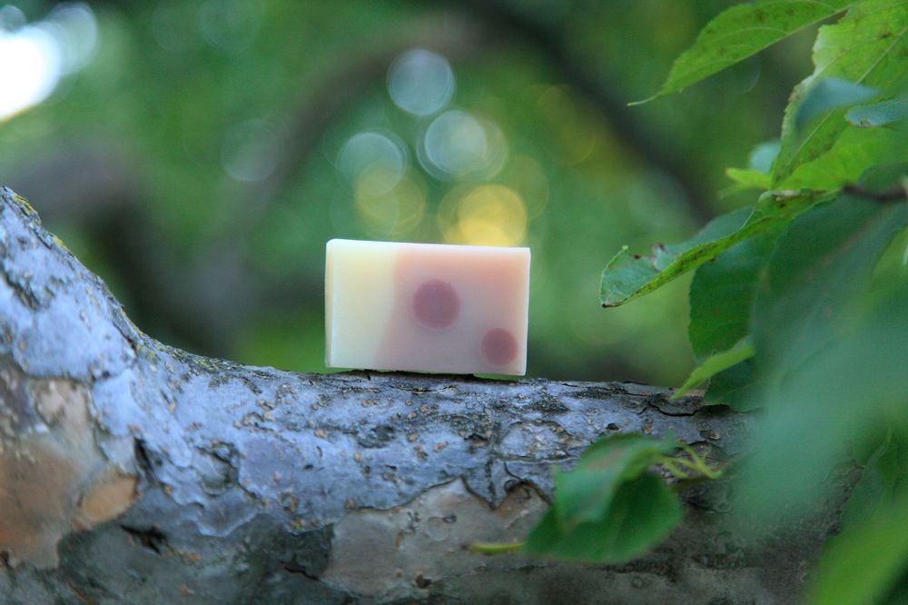 Soaps - Bloom&Berry by Biovert Inc. - WAKAYAMA JAPAN