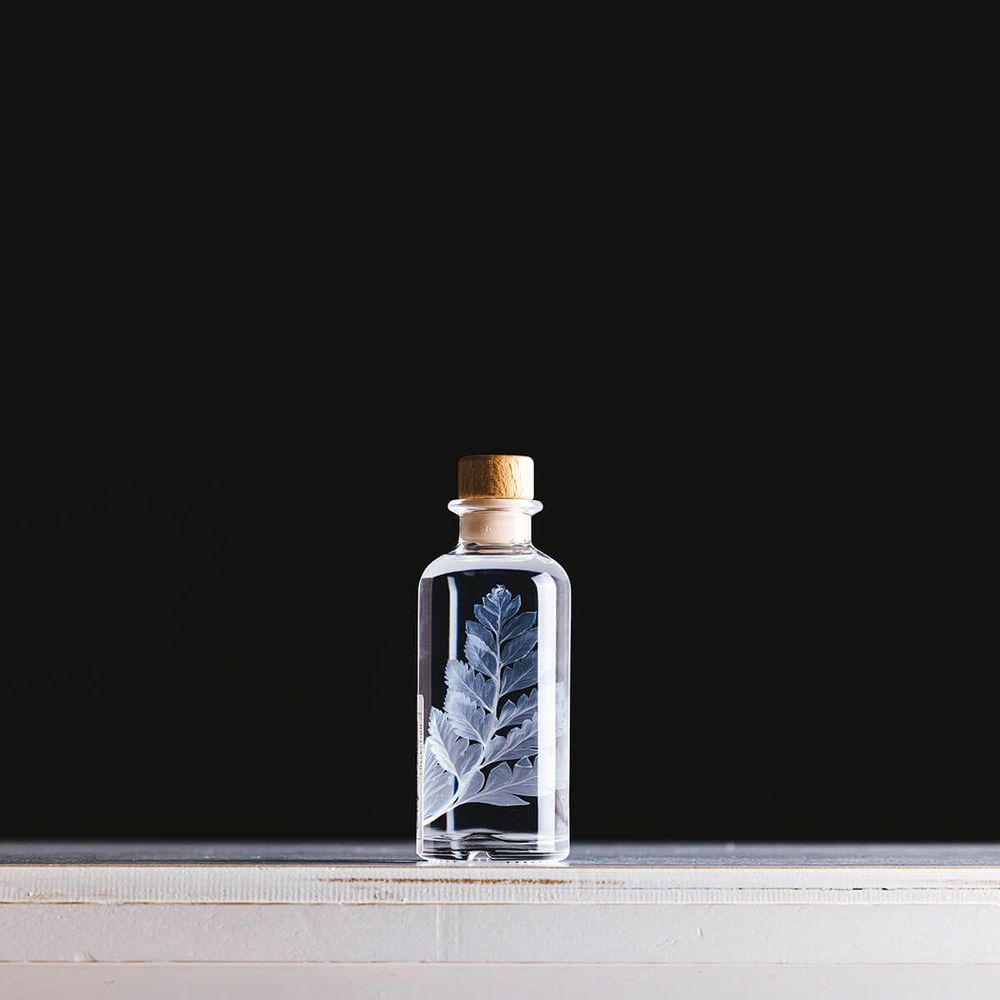 Decorative objects - L'Herbarium de Théophile — blue Hydrangea - Plant immersed in a bottle - THEOPHILE BERTHON