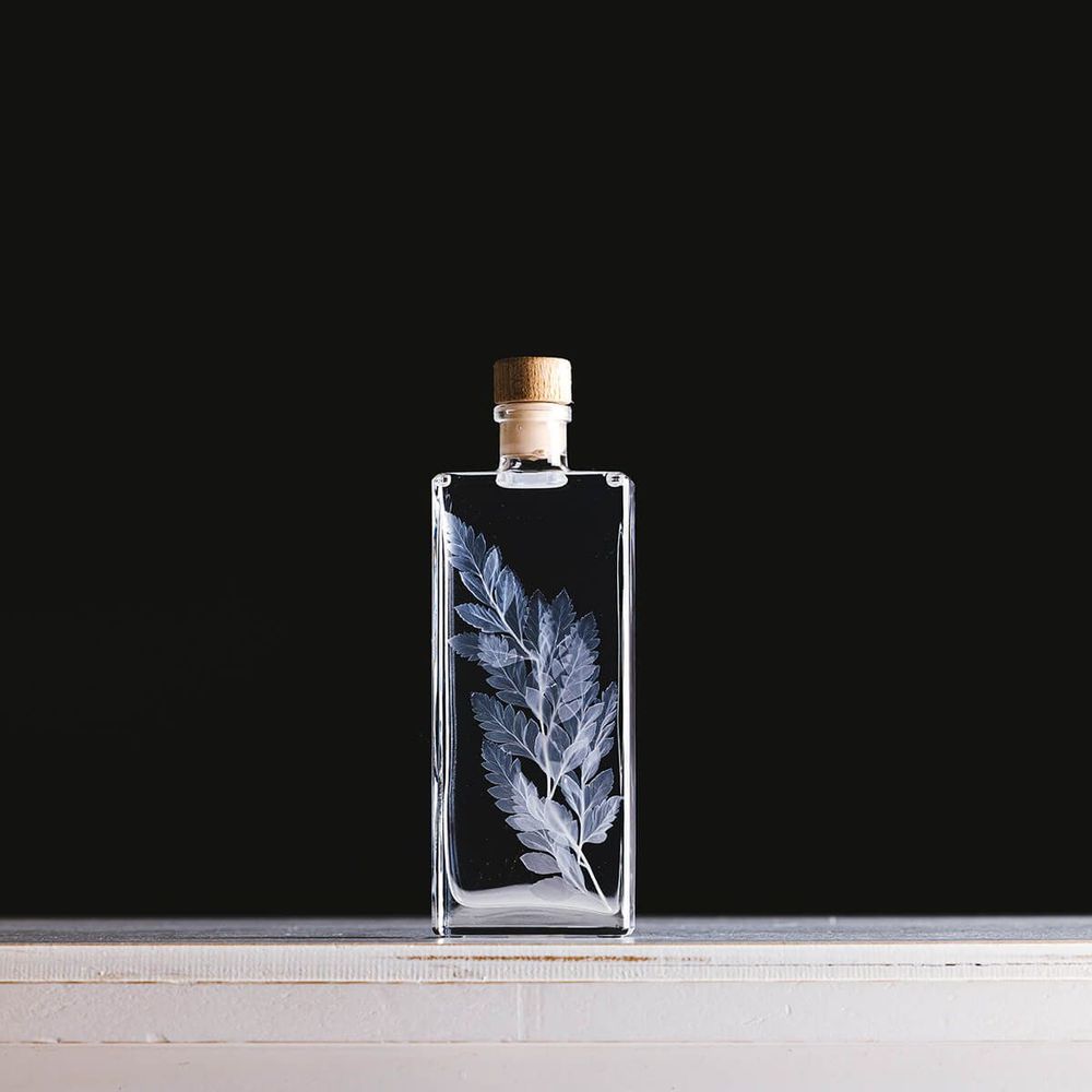 Decorative objects - L'Herbarium de Théophile — blue Hydrangea - Plant immersed in a bottle - THEOPHILE BERTHON
