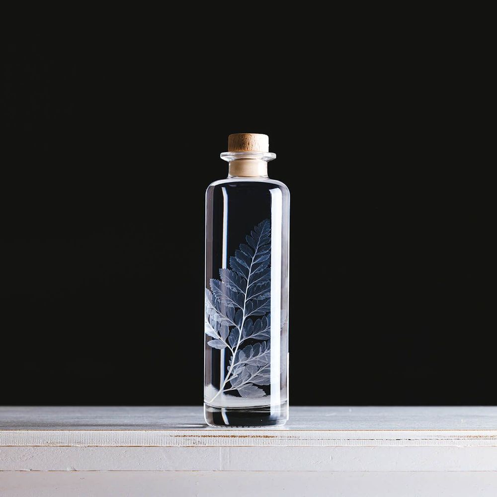 Decorative objects - L'Herbarium de Théophile — blue Hydrangea - Plant immersed in a bottle - THEOPHILE BERTHON