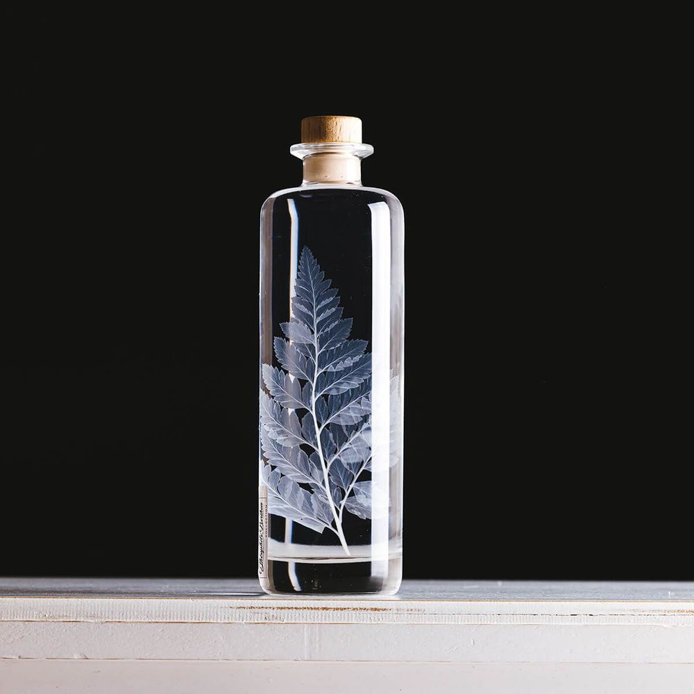Decorative objects - L'Herbarium de Théophile — blue Hydrangea - Plant immersed in a bottle - THEOPHILE BERTHON