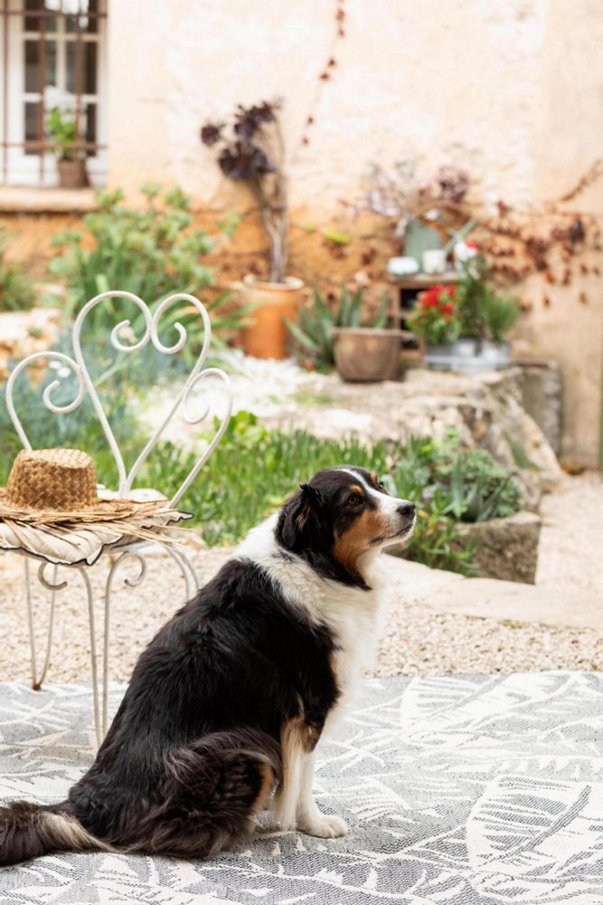 Tapis - Tapis Amara outdoor Pétrole 160 x 230 - MAISON VIVARAISE - SDE VIVARAISE WINKLER