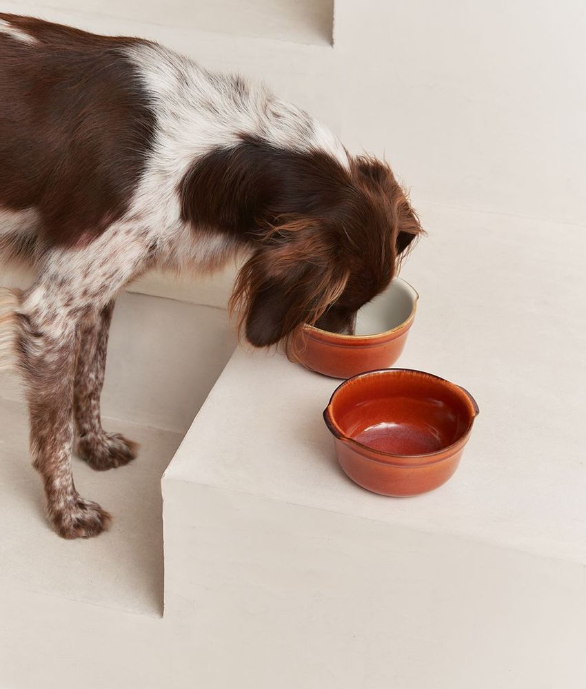 Accessoires animaux - Handmade in Portugal Ceramic Dog Bowl, Bole - CAFIDE PETS S.L.