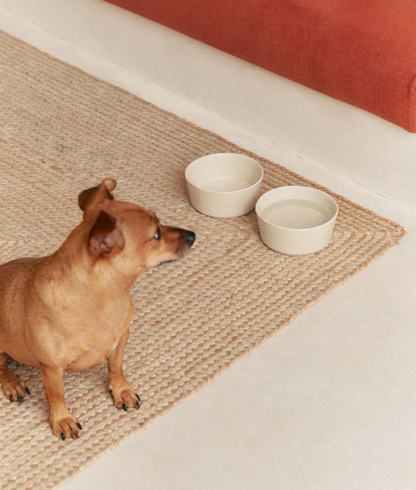 Accessoires animaux - Handmade in Portugal Ceramic Dog Bowl, Bole - CAFIDE PETS S.L.