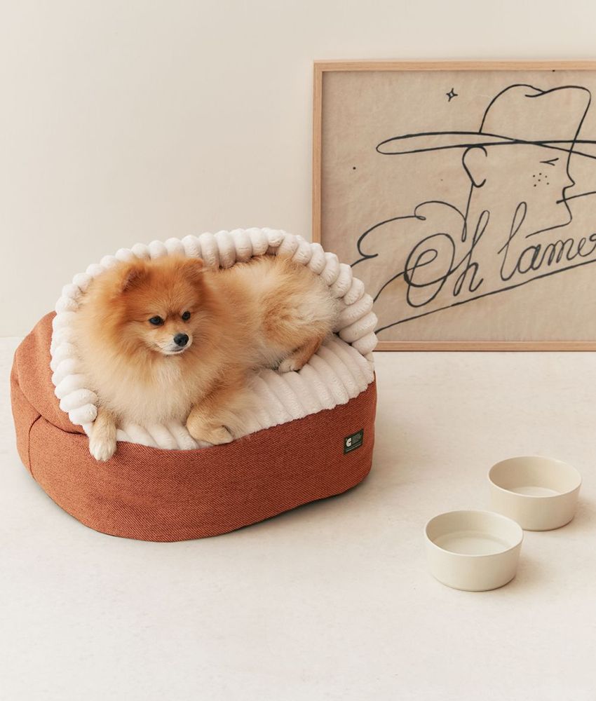 Accessoires animaux - Handmade in Portugal Ceramic Dog Bowl, Bole - CAFIDE PETS S.L.