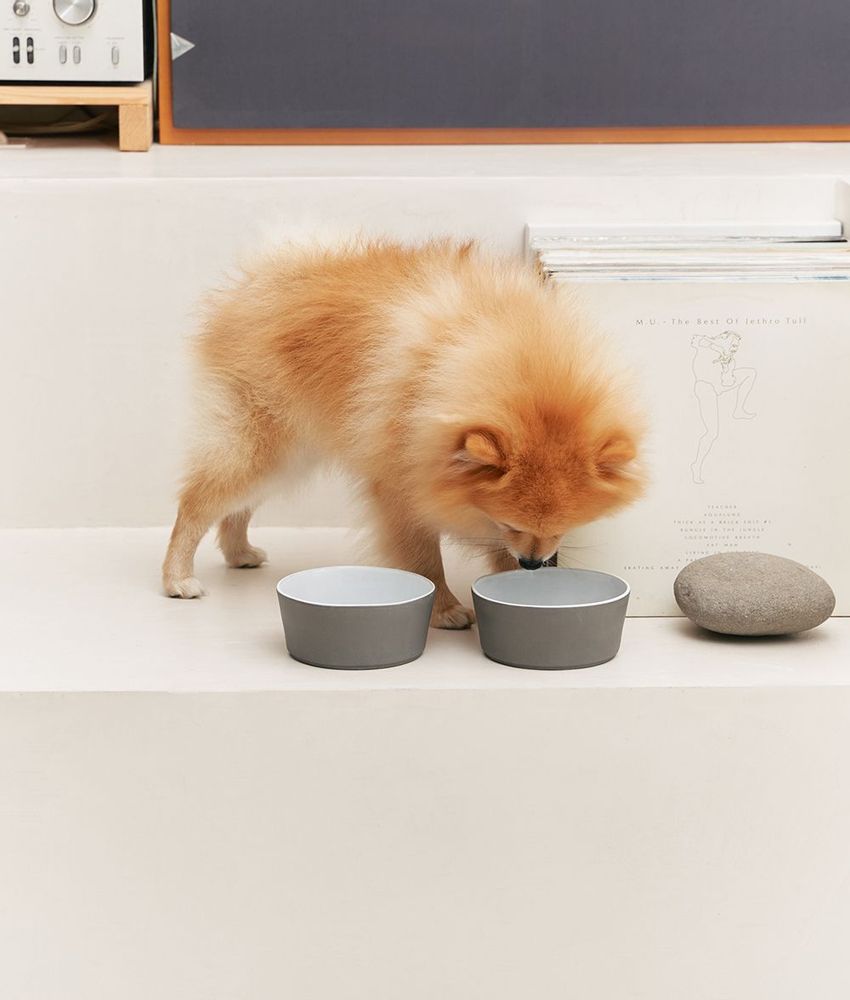 Accessoires animaux - Handmade in Portugal Ceramic Dog Bowl, Bole - CAFIDE PETS S.L.
