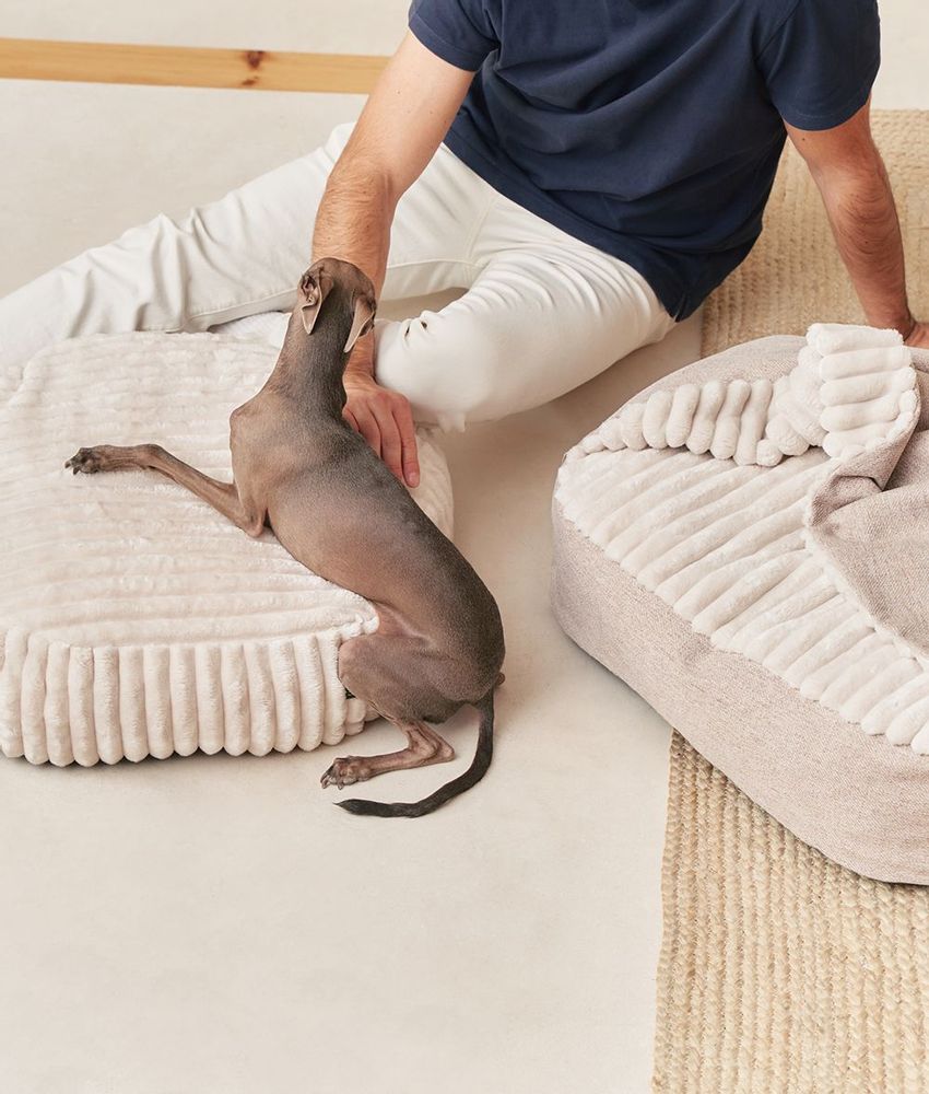 Accessoires animaux - Lit pour chien en velours côtelé vert, Snozy - CAFIDE PETS S.L.