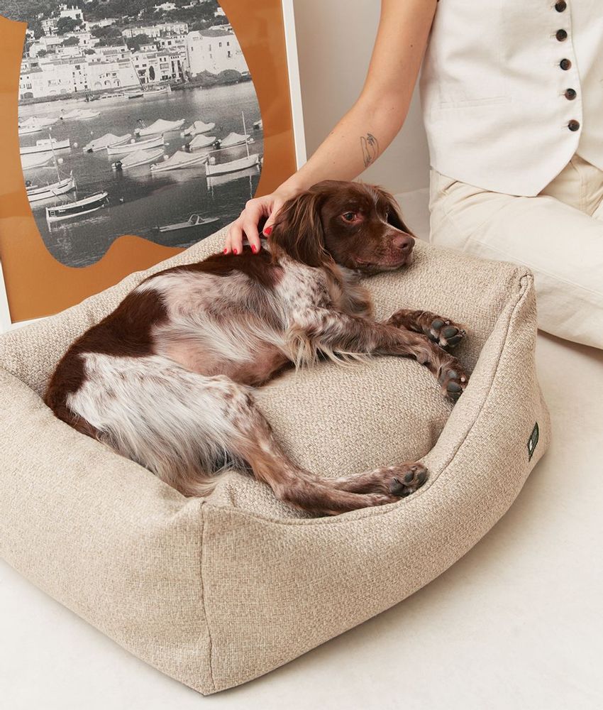 Accessoires animaux - Lit pour chien en velours côtelé vert, Snozy - CAFIDE PETS S.L.
