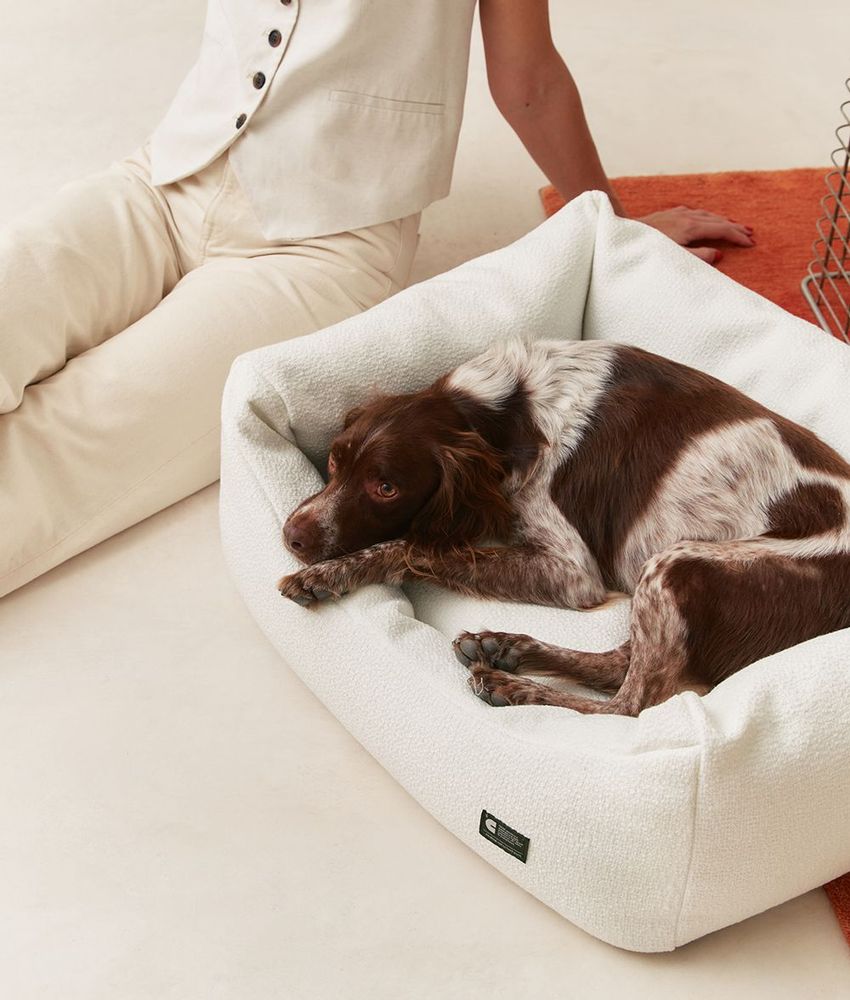 Accessoires animaux - Lit pour chien en velours côtelé vert, Snozy - CAFIDE PETS S.L.