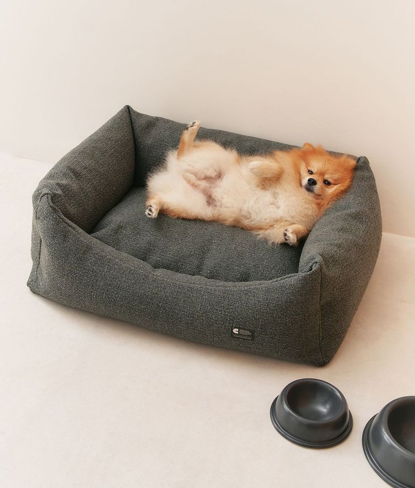 Accessoires animaux - Lit pour chien en velours côtelé vert, Snozy - CAFIDE PETS S.L.