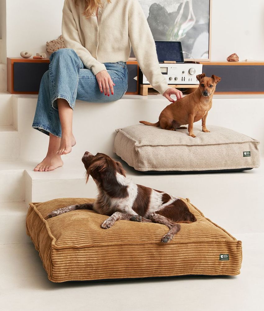 Accessoires animaux - Lit pour chien en velours côtelé vert, Snozy - CAFIDE PETS S.L.