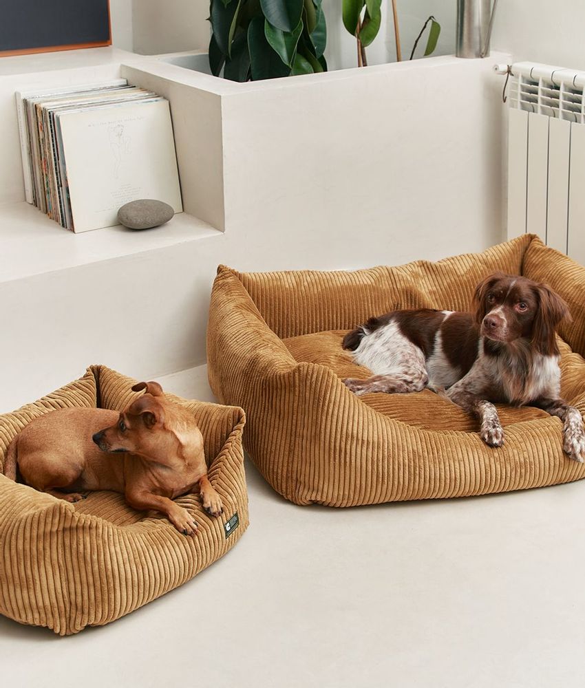 Accessoires animaux - Lit pour chien en velours côtelé vert, Snozy - CAFIDE PETS S.L.