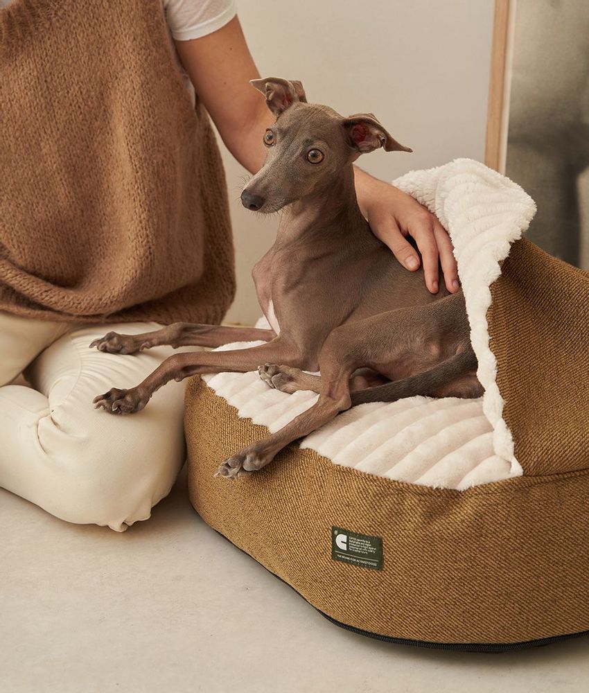 Accessoires animaux - Lit pour chien en velours côtelé vert, Snozy - CAFIDE PETS S.L.
