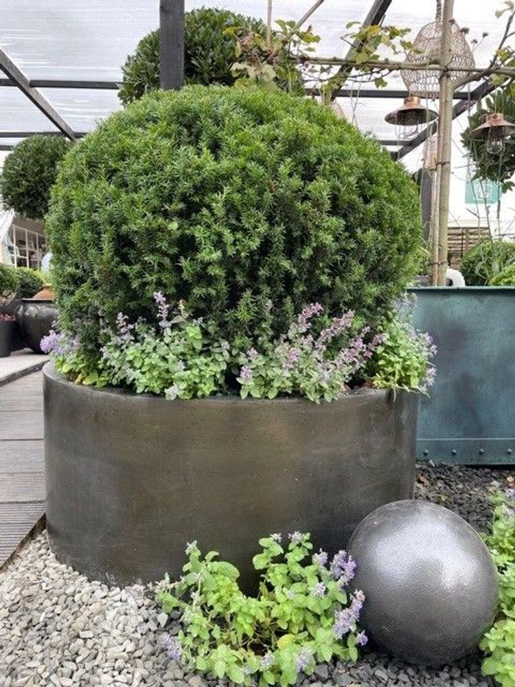 Pots de fleurs - Planteurs Elite - CAPITAL GARDEN PRODUCTS LTD