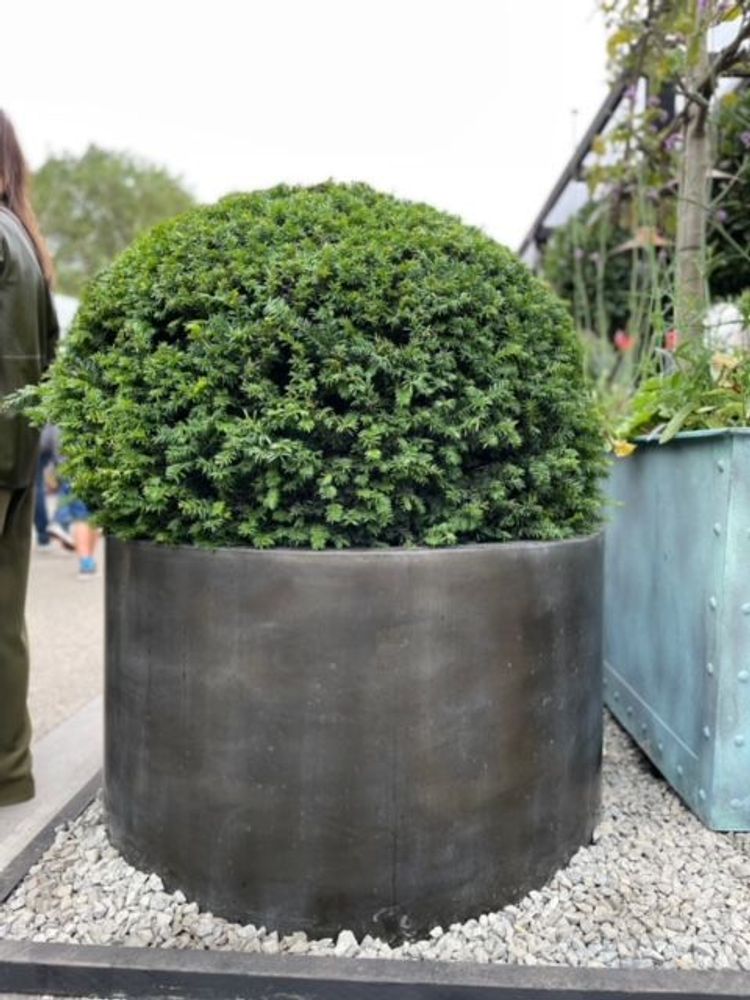 Pots de fleurs - Planteurs Elite - CAPITAL GARDEN PRODUCTS LTD