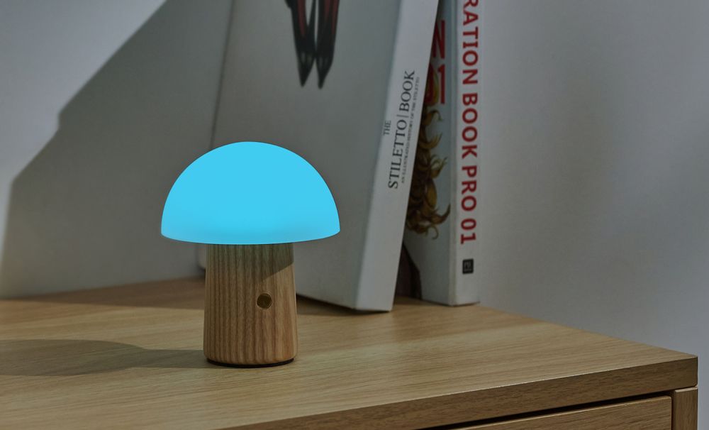 Lampes de bureau  - Alice Mushroom Lamp - GINGKO DESIGN