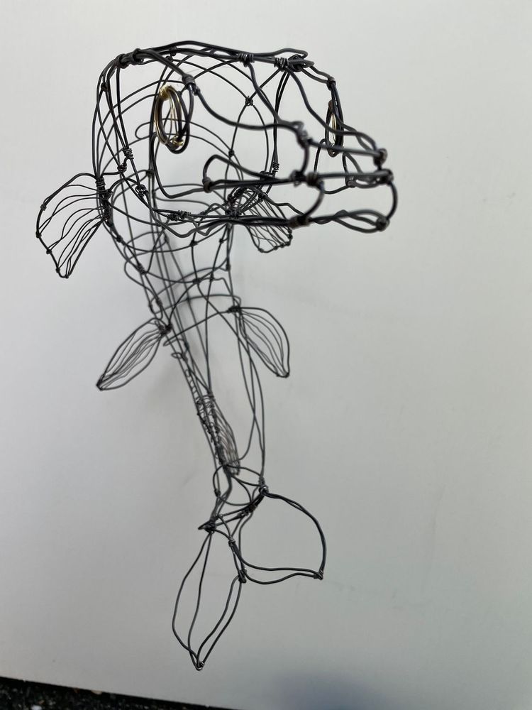 Pièces uniques - Poisson Brochet en fil d'acier dans le volume - FABIENNE QUENARD ATELIER ARC EN LUNE