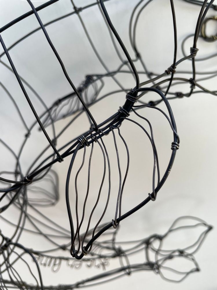 Pièces uniques - Poisson Brochet en fil d'acier dans le volume - FABIENNE QUENARD ATELIER ARC EN LUNE