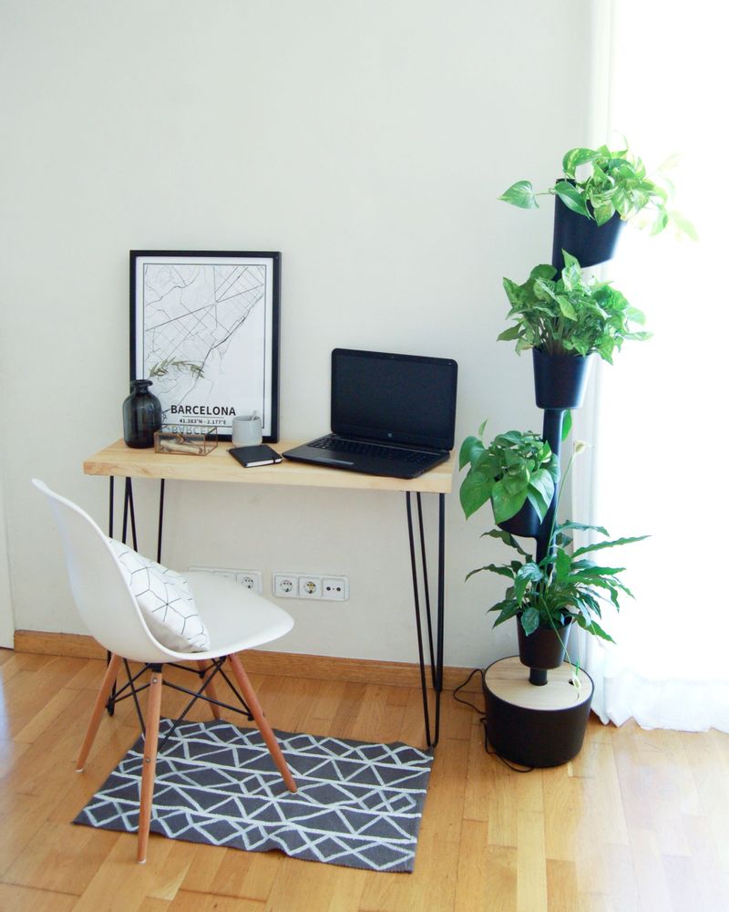 Mobilier et rangements pour bureau - Jardinière verticale pour 4 plantes - CITYSENS