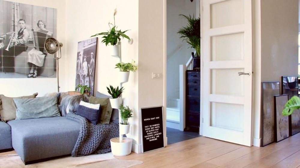 Mobilier et rangements pour bureau - Jardinière verticale pour 4 plantes - CITYSENS