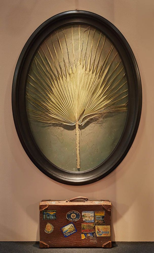 Unique pieces - Decorative picture - The Oval - OFFICINA NATURALIS