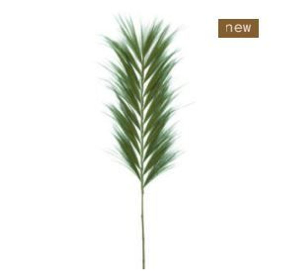 Objets de décoration - RAYUNG - Feuille naturelle verte - Décoration XXL - HYDILE