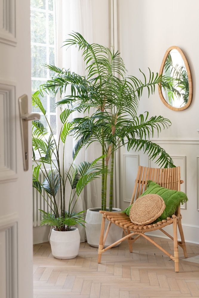 Decorative objects - Amazonian Rainforest - J-LINE BY JOLIPA