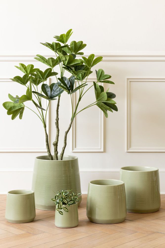 Decorative objects - Amazonian Rainforest - J-LINE BY JOLIPA
