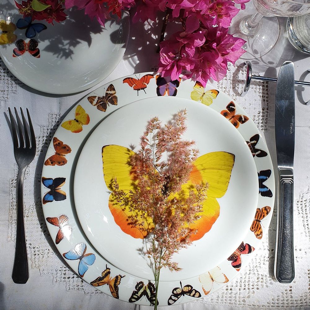 Poterie - Collection de papillons brésiliens - STUDIO CRIS AZEVEDO