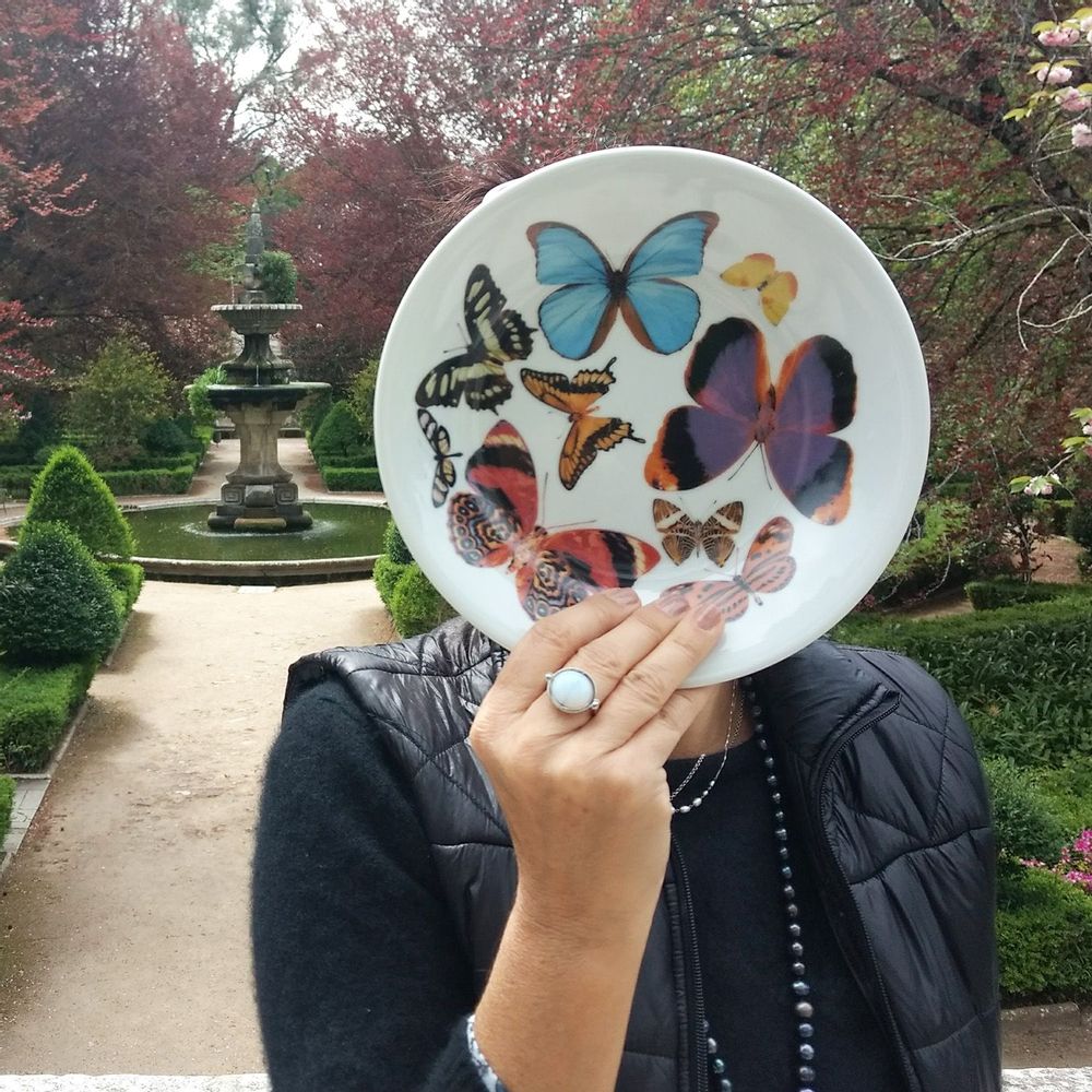 Poterie - Collection de papillons brésiliens - STUDIO CRIS AZEVEDO