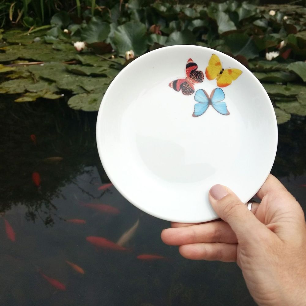 Poterie - Collection de papillons brésiliens - STUDIO CRIS AZEVEDO