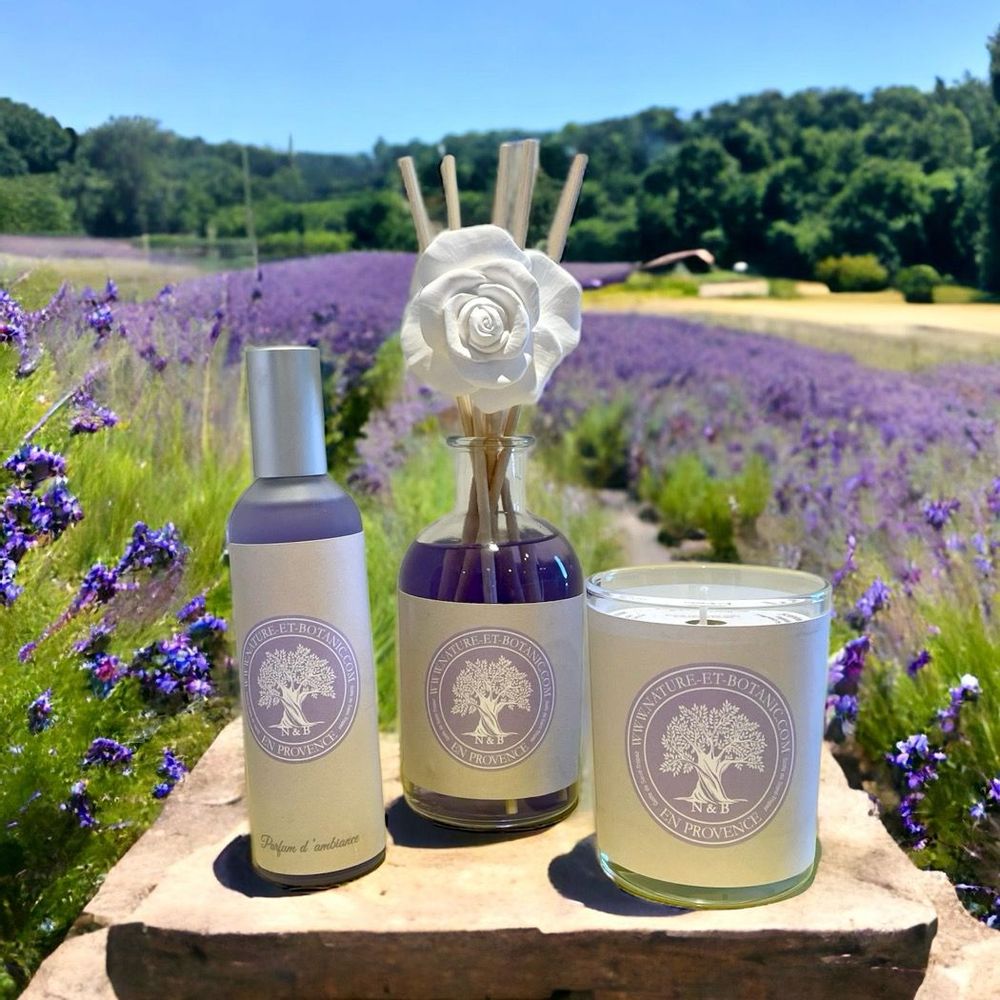 Objets de décoration - BOUGIE PARFUMÉE - NATURE & BOTANIC