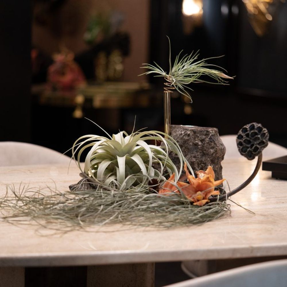Decorative objects - Collis II - A Sculptural Vase Stand Inspired by Nature's Grandeur - MAEVE