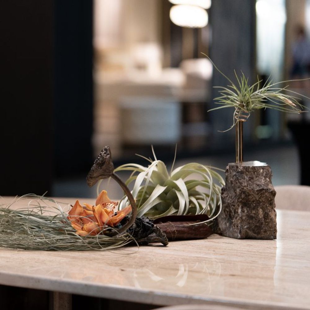 Decorative objects - Collis II - A Sculptural Vase Stand Inspired by Nature's Grandeur - MAEVE